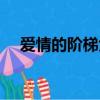 愛情的階梯大結局是什么（愛情的階梯）