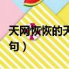 天網恢恢的天網是什么意思（天網恢恢的下一句）