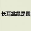 長耳跳鼠是國家一級保護動物嗎（長耳跳鼠）