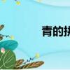 青的拼音怎么寫（青的拼音）