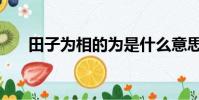 田子為相的為是什么意思(田子為相)
