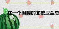 在一個溫暖的冬夜衛蘭總統的神秘情人