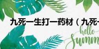 九死一生打一藥材(九死一生打一數字)