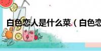 白色戀人是什么菜(白色戀人是什么意思)