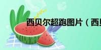 西貝爾超跑圖片(西貝爾超跑)