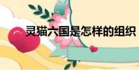 靈貓六國是怎樣的組織(靈貓六國)