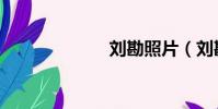 劉勘照片(劉勘)