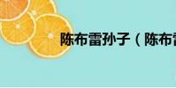 陳布雷孫子(陳布雷簡介)