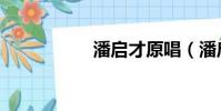 潘啟才原唱(潘啟翀)