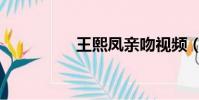 王熙鳳親吻視頻(王熙)