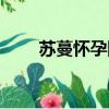 蘇蔓懷孕陸勵成求婚電視劇（蘇蔓）