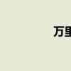 萬里揚股吧（萬里簡介）