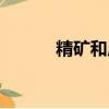 精礦和原礦的換算公式（精礦）