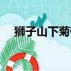 獅子山下菊帶霜楊穎（獅子山下菊帶霜）