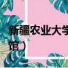 新疆農業大學圖書館網址（新疆農業大學圖書館）