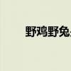 野雞野兔是保護動物嗎（野雞殺手）
