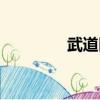 武道醫王小說（武道球魂）