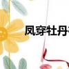 鳳穿牡丹在山洞里吻戲（鳳穿殘漢）