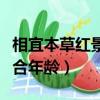 相宜本草紅景天適合膚質（相宜本草紅景天適合年齡）