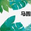 馬圓圓最新消息（馬圓圓）