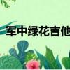 軍中綠花吉他譜c調簡單（軍中綠花吉他譜）