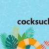 cocksuck什么意思（cocksucker）