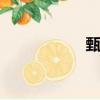 甄穎珊tvb（甄穎珊）