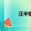汪半壁是什么意思（汪半壁）