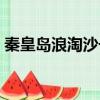 秦皇島浪淘沙號游輪（秦皇島浪淘沙聊天室）