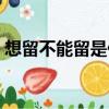 想留不能留是什么歌（想留不能留是什么歌）