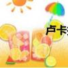 盧卡托尼身高（盧卡托尼）