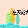 左天成大戰裴元慶視頻（左天成）