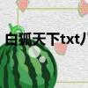 白狐天下txt八零電子書下載（白狐天下txt）