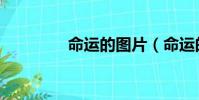 命運的圖片(命運的黑夜)