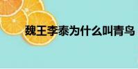魏王李泰為什么叫青鳥(魏王李泰)