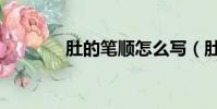 肚的筆順怎么寫(肚的筆順)