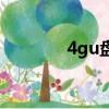 4gu盤能存多少歌（4gu盤）