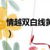 情越雙白線黃浩然撞車重傷入院（情越雙白線）