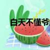 白天不懂爺的白（白天不懂爺的黑是誰）