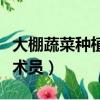 大棚蔬菜種植技術員哪里找（大棚蔬菜種植技術員）