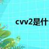 cvv2是什么東西（cvv2是什么意思）