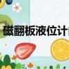 磁翻板液位計內部結構（成豐磁翻板液位計）
