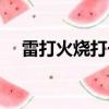 雷打火燒打一成語（雷打火燒打一生肖）