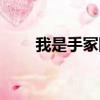 我是手冢國光網王（我是手冢國光）