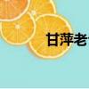 甘萍老公照片大全（甘萍老公）