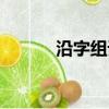 沿字組詞四字詞語（沿字組詞）