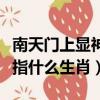 南天門上顯神威指什么動物（南天門上顯神威指什么生肖）