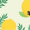 筆蕊怎么做（筆蕊）