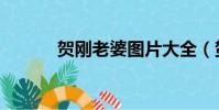 賀剛老婆圖片大全(賀剛老婆)