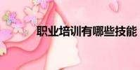職業培訓有哪些技能(職內網)